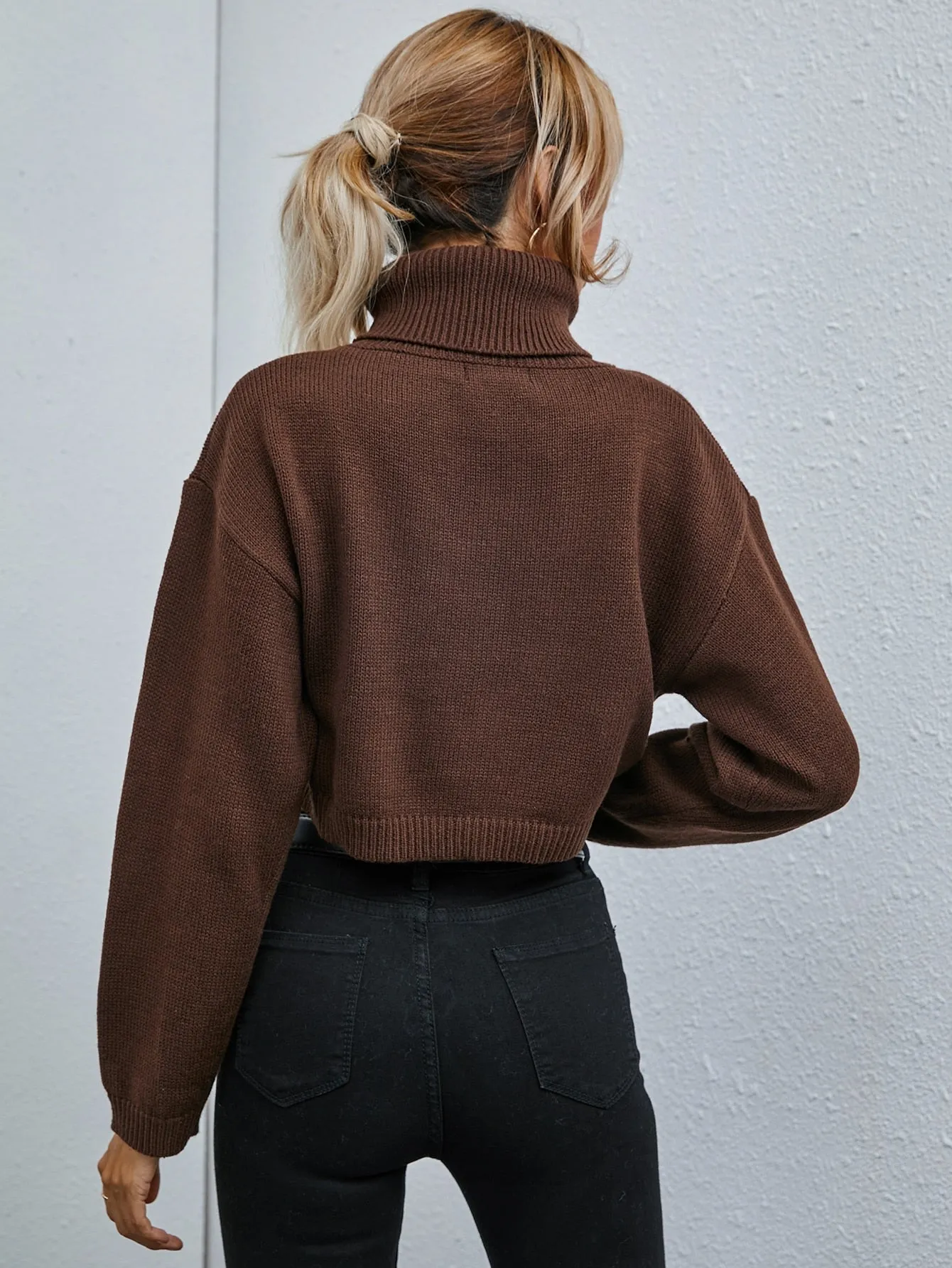 Casual Plain Rib-Knit Long Sleeve High Neck Crop Women Sweater