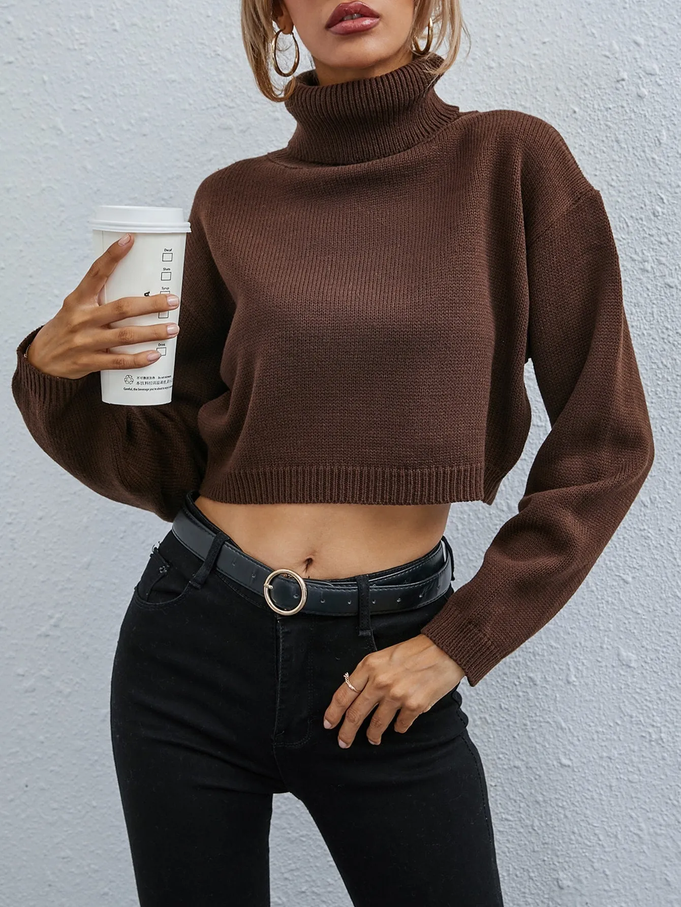 Casual Plain Rib-Knit Long Sleeve High Neck Crop Women Sweater