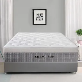 MLILY Lotus Long Single Hybrid Mattress